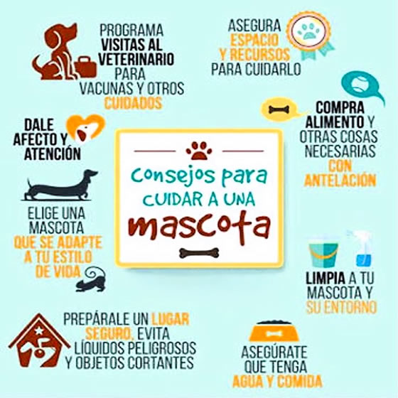 cuidado mascotas